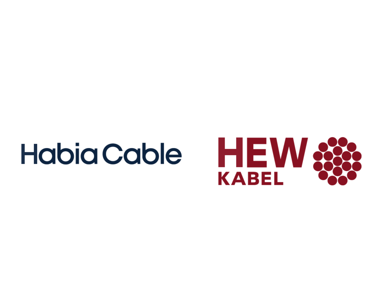 Animation of new Brand - Habia